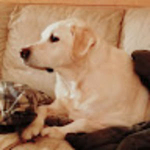 Meet your Posher, Ethan